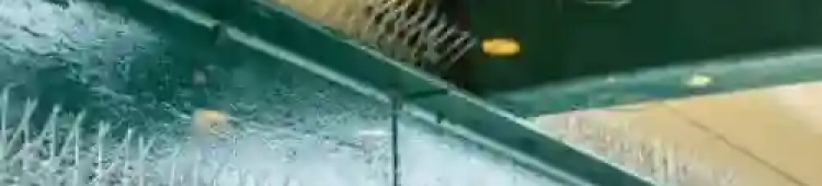 services-6426fdbdc90491648115596