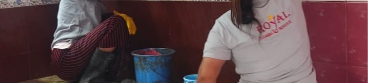 services-662f5f78cb039chimney-cleaning